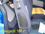 Obmiar Peugeot 1007